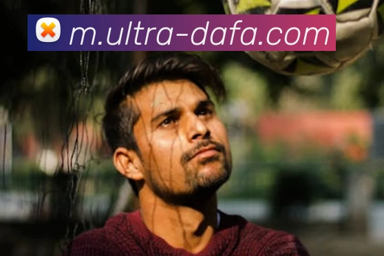 大发彩票平台生态图